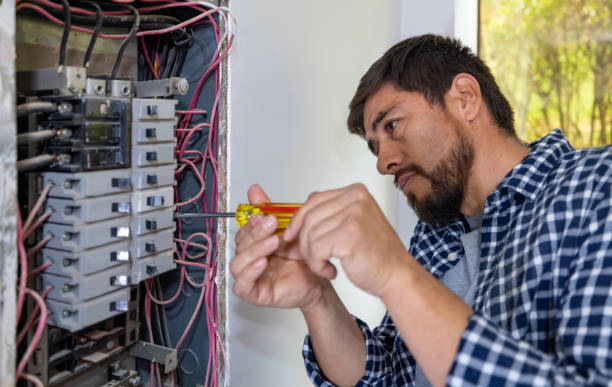 Best Home Electrical Repair  in Albion, IN